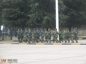 淬火龍魂 磨礪鋒芒——宜賓綠源食品2013年精銳團隊軍事化作訓實錄